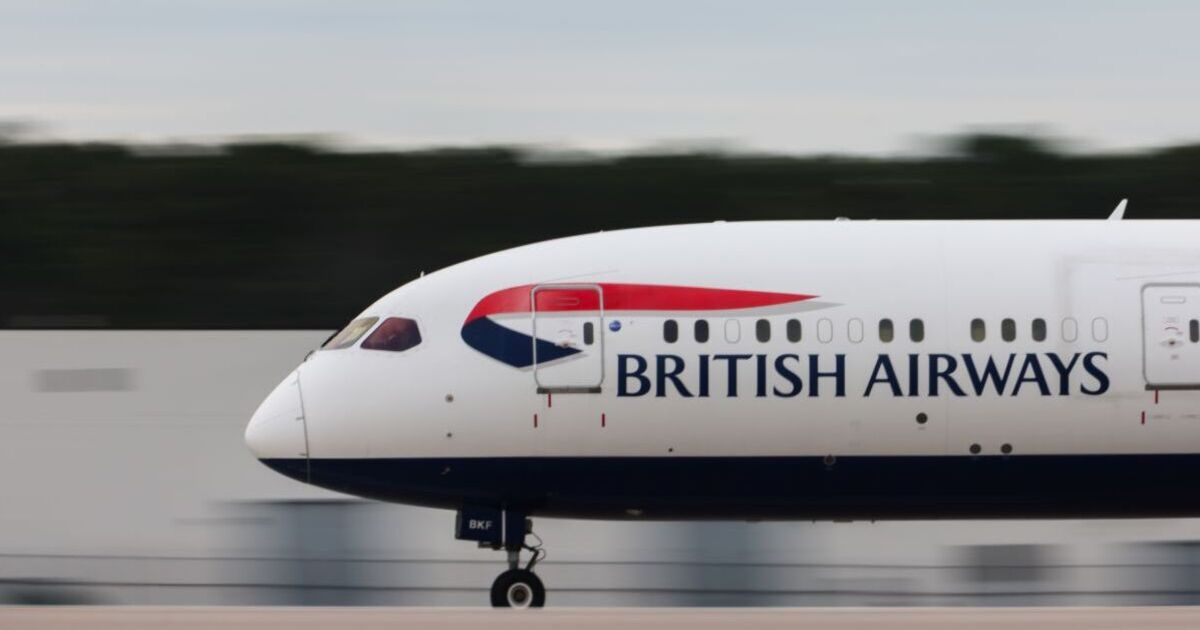 British Airways and Lufthansa issue updates on flights with May 31 ‘deadline' | Travel News | Travel | Express.co.uk