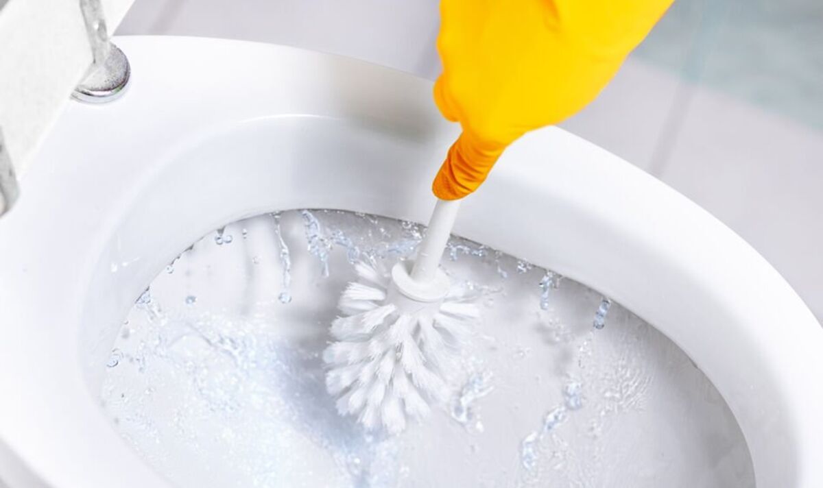 Toilet cleaning: How to remove limescale overnight - use mum's hack | Express.co.uk