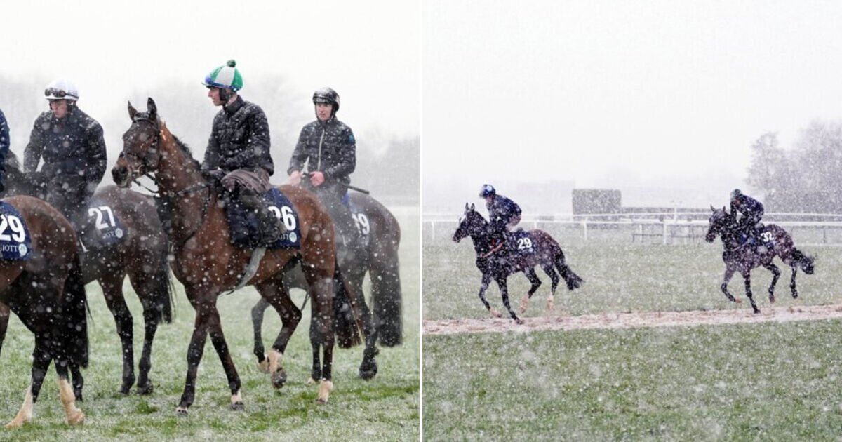 Heavy snow at Cheltenham Festival ahead of day two races | Racing | Sport | Express.co.uk