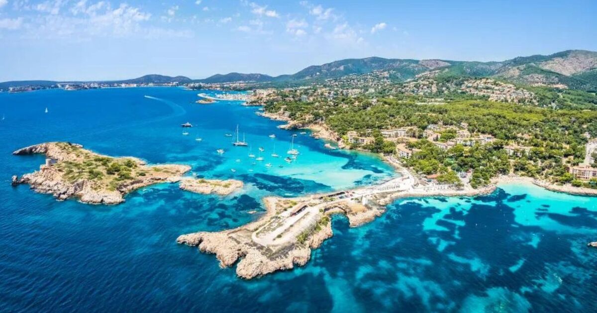 British tourist dies after being knocked off bike by car in Majorca | World | News | Express.co.uk
