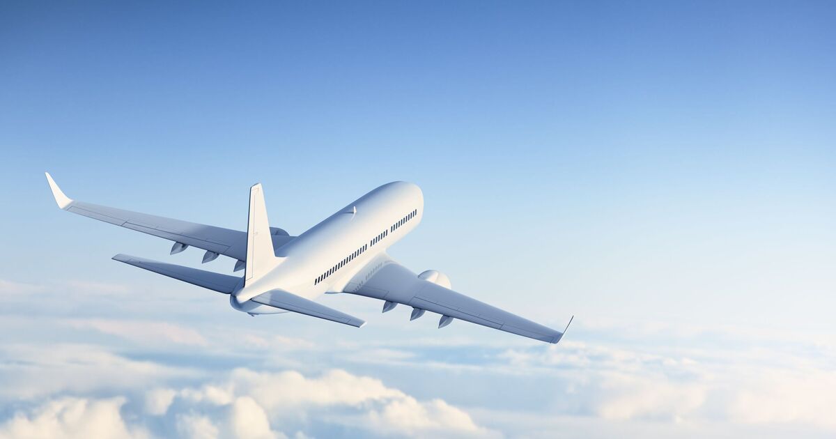 Airline plunges into liquidation - in business since 2007 | World | News | Express.co.uk
