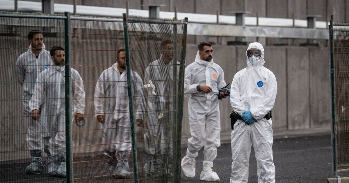 Hospital staff to be quarantined for weeks after hantavirus PPE failure | World | News | Express.co.uk