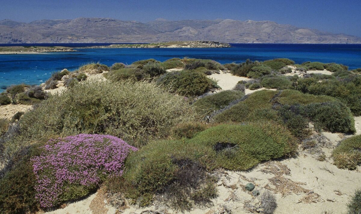 The beautiful Greek island among world's best but with barely any tourists | World | News | Express.co.uk
