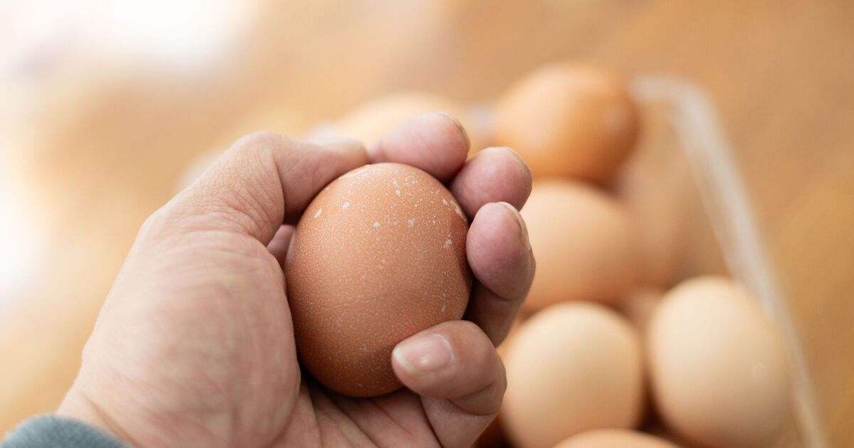 You're storing eggs wrong as expert shares correct method | Weird | News | Express.co.uk