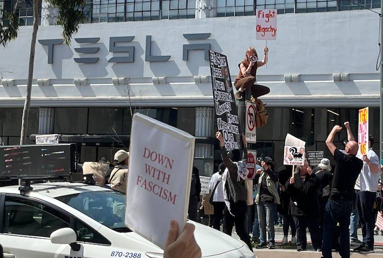 Protesters Swarm Tesla Showrooms to Oppose Elon Musk's Purge of US Government | KQED