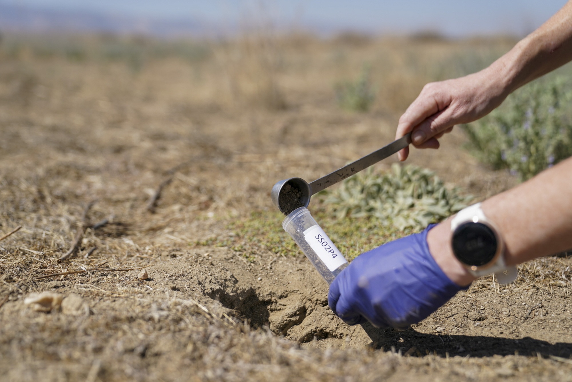 California Valley Fever Cases on Track for Record High | KQED
