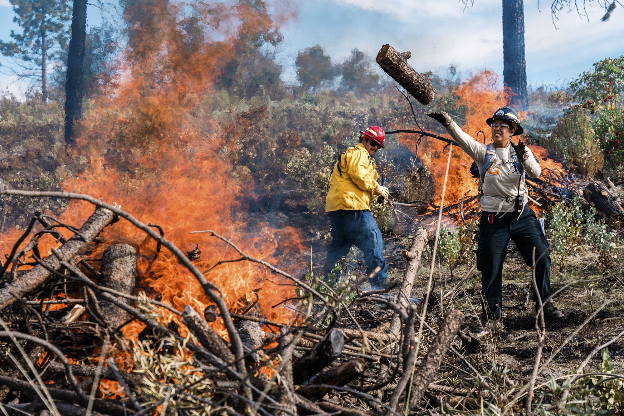 Maidu Tribes Reignite Ancestral Fire Stewardship in the Sierra Foothills | KQED