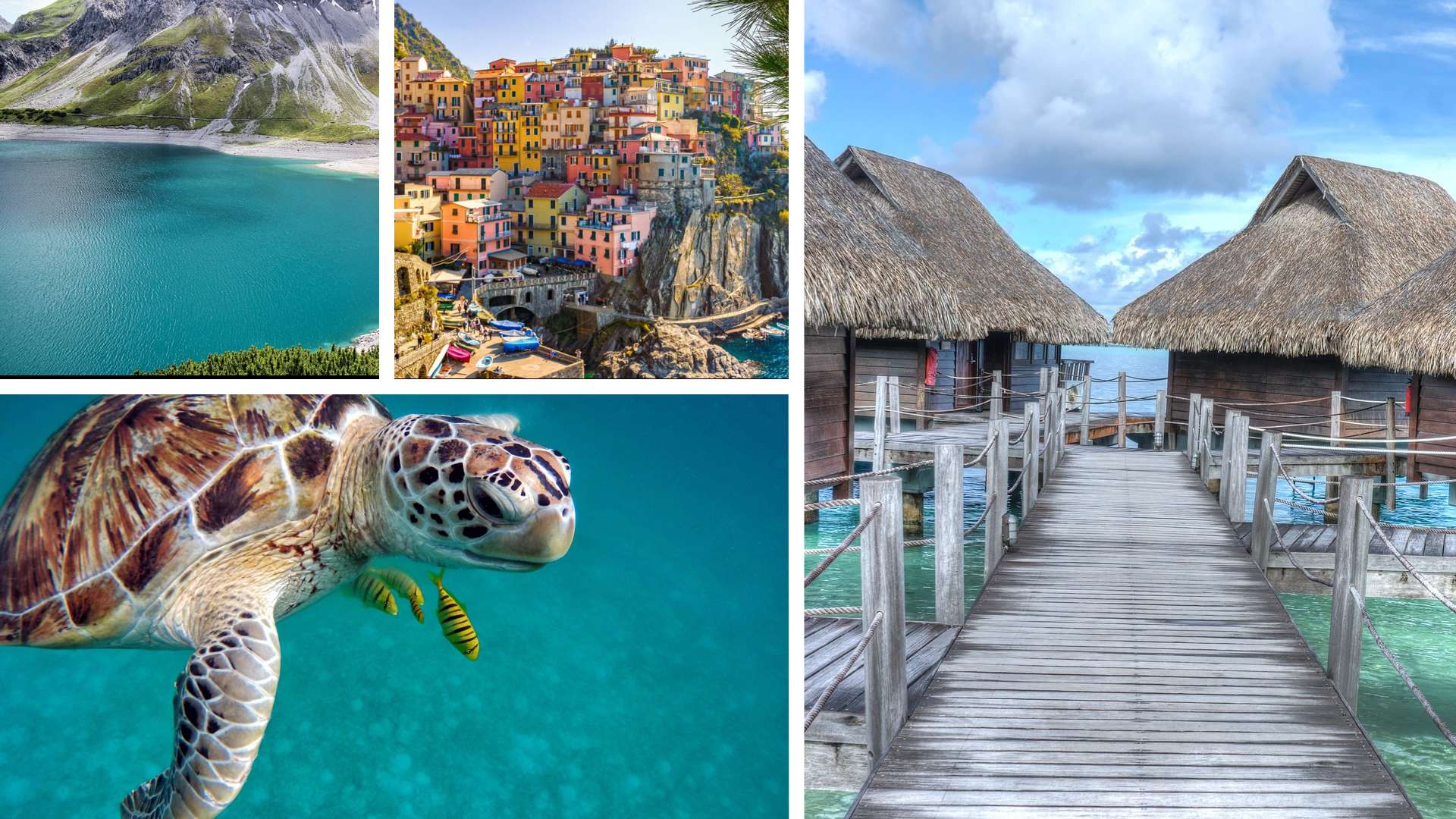 Remote Work Revolution 7 Best Hotels with Verified Gigabit Internet Speeds in Southeast Asia for Digital Nomads