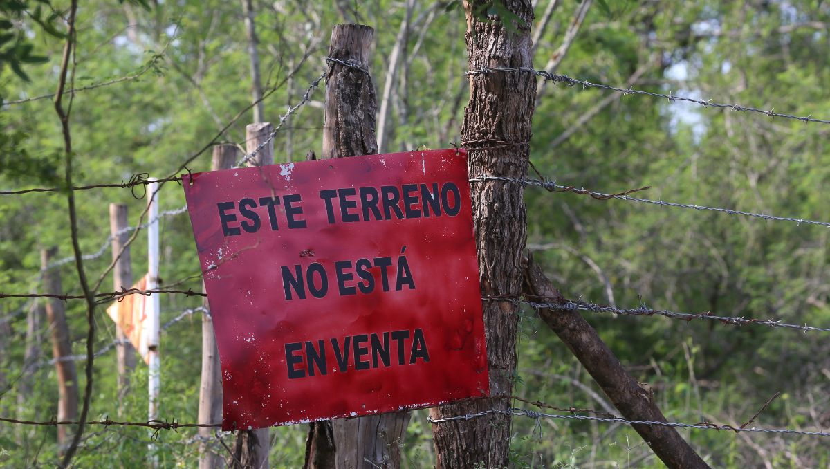 Poder Judicial de NL aumenta vinculaciones a proceso por despojo- Grupo Milenio