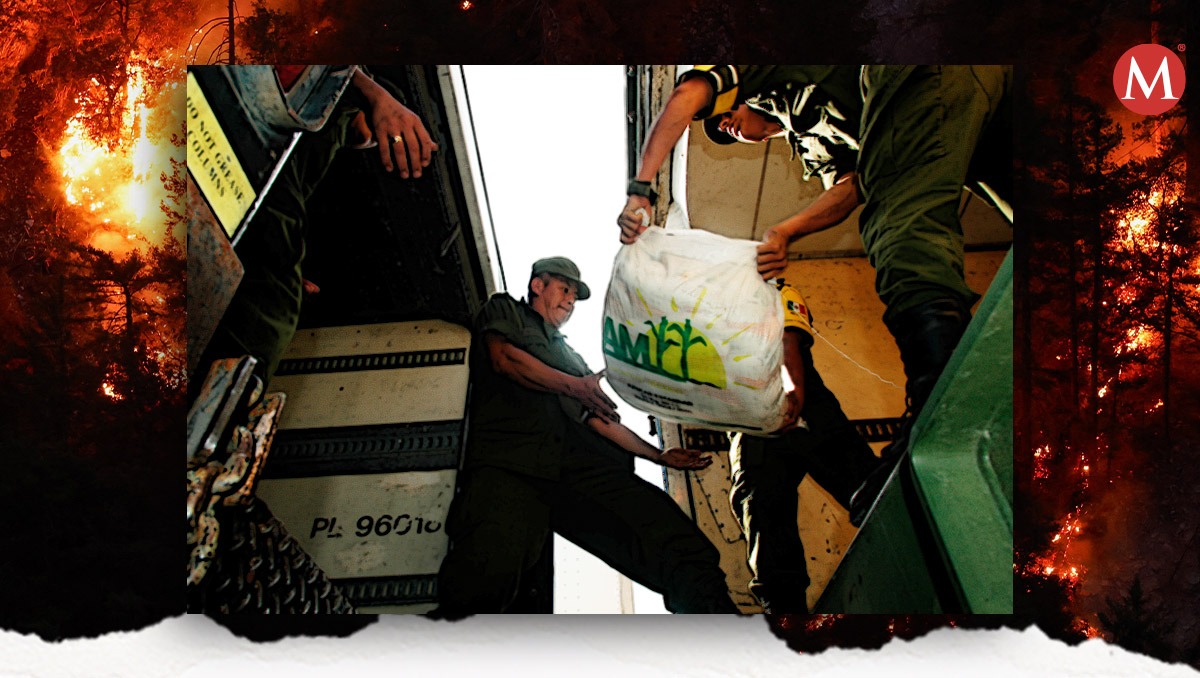 Conafor: record de incendios forestales en 2024- Grupo Milenio