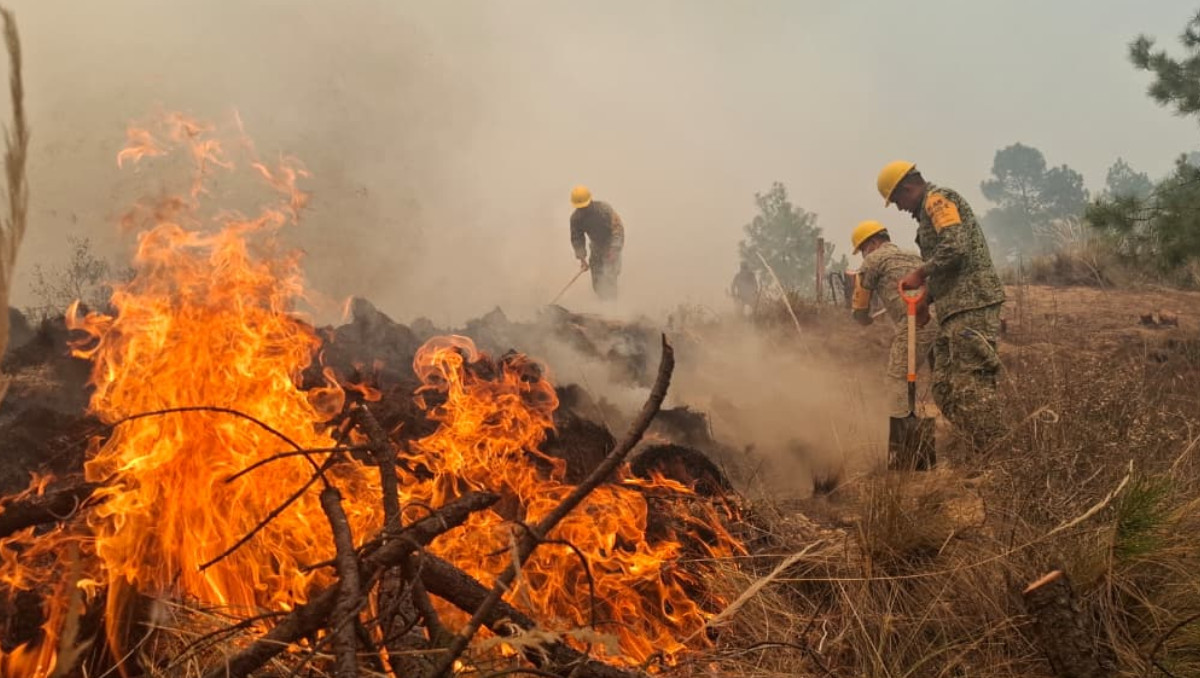 Incendio forestal en Vicente Guerrero, Puebla; sigue sin ser sofocado- Grupo Milenio