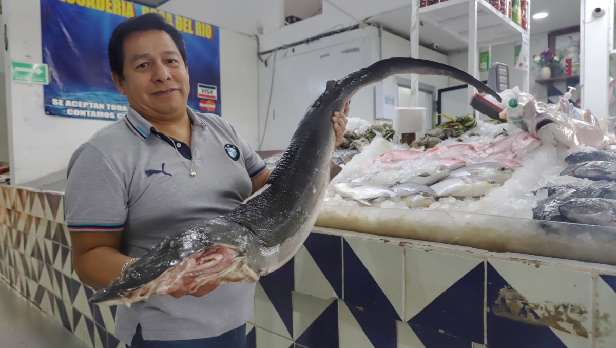 Mercado de Pescados y Mariscos de Puebla reportan bajan ventas- Grupo Milenio