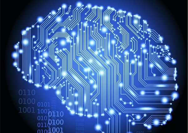 Decision-Making and Control in the Brain | Live Science