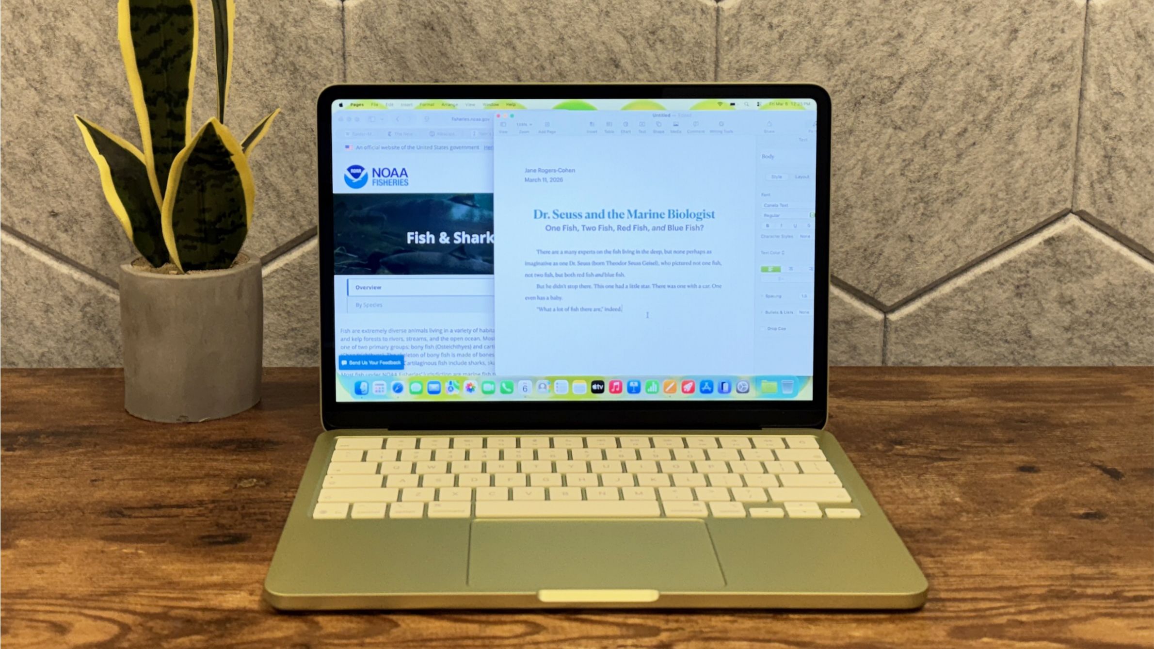MacBook Neo mods include copper and liquid cooling — temps drop and boost performance by up to 18% | Tom's Hardware