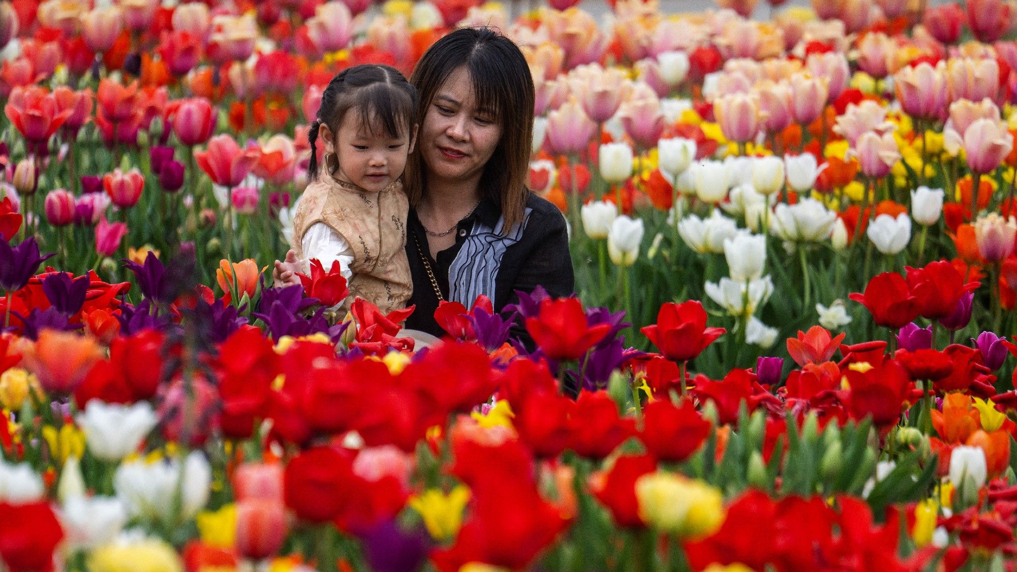 8 of the world’s best public gardens | The Week