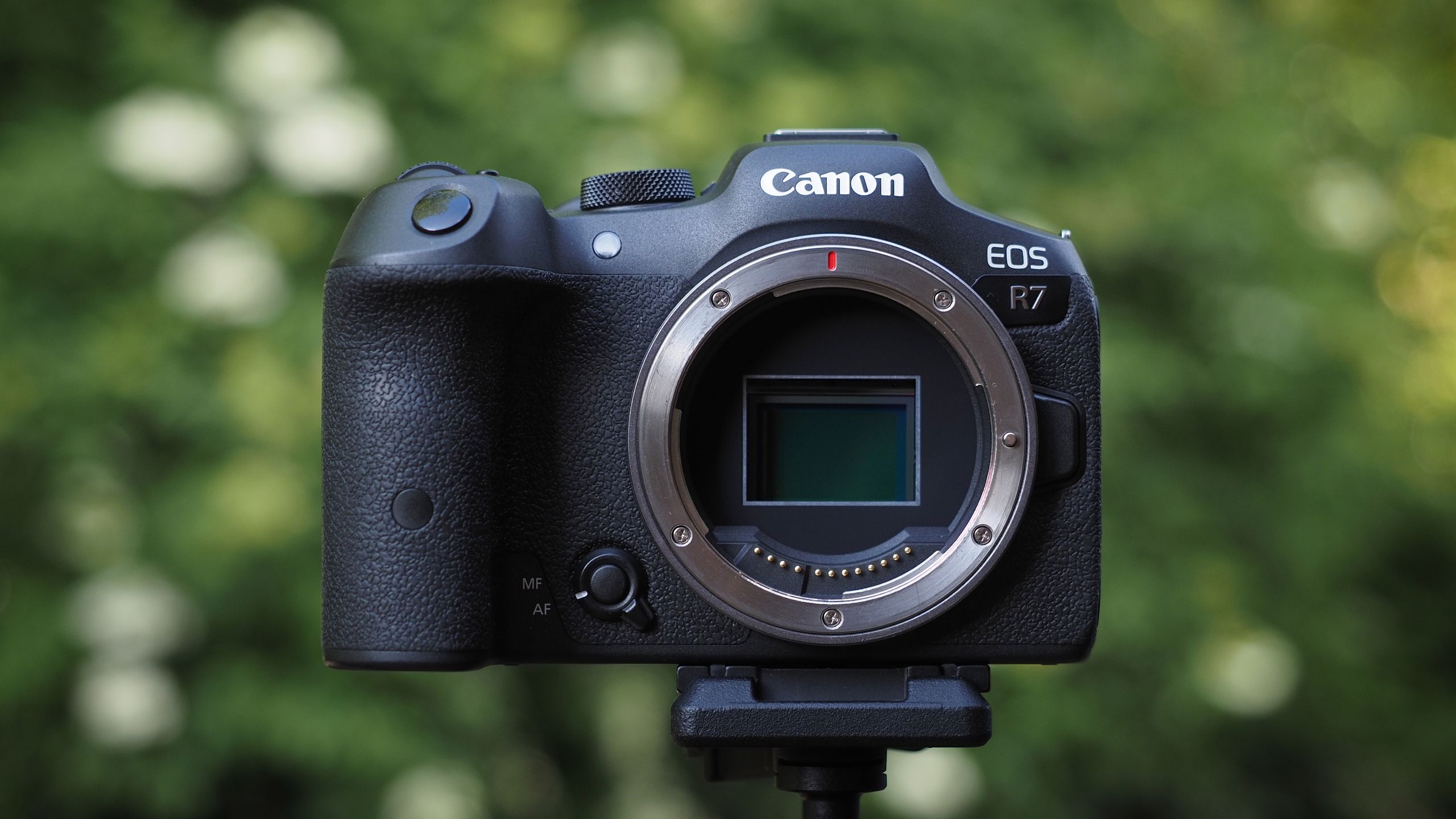 Best APS-C and Micro Four-Thirds cameras for astrophotography | Live Science
