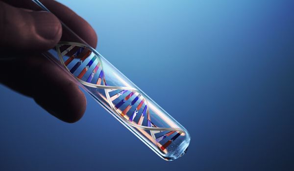 Animal Code: Our Favorite Genomes | Live Science