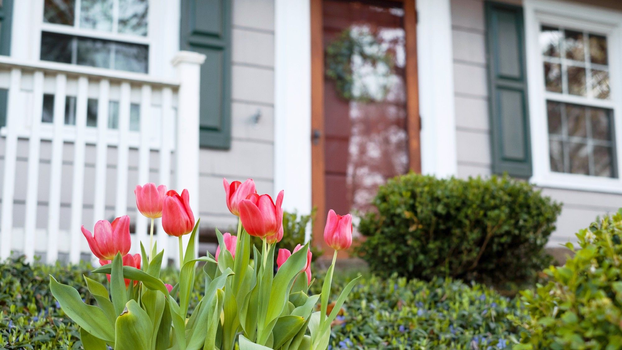 Spring homebuying: Where are mortgage rates headed? | The Week
