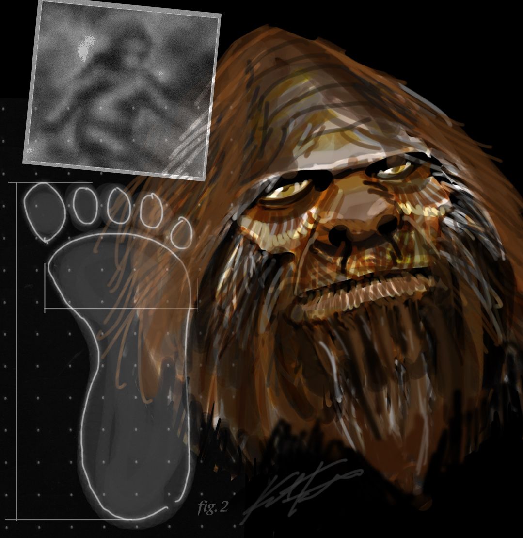 If You Spot Bigfoot, Should You Shoot Him? | Live Science