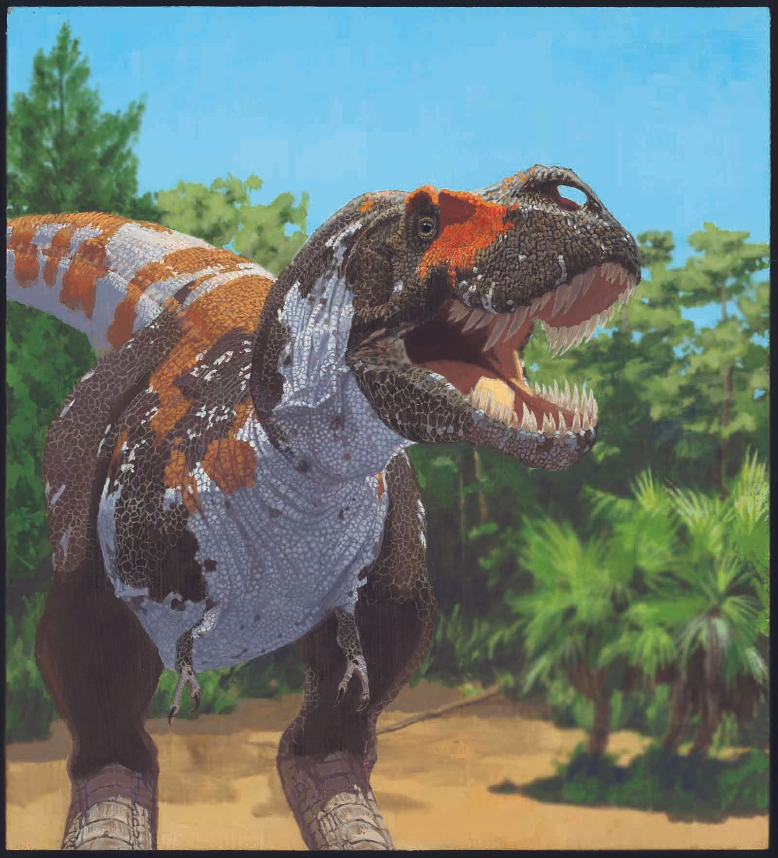 Some Dinosaurs Were Dealt a Slow Death | Mass Extinction | Live Science