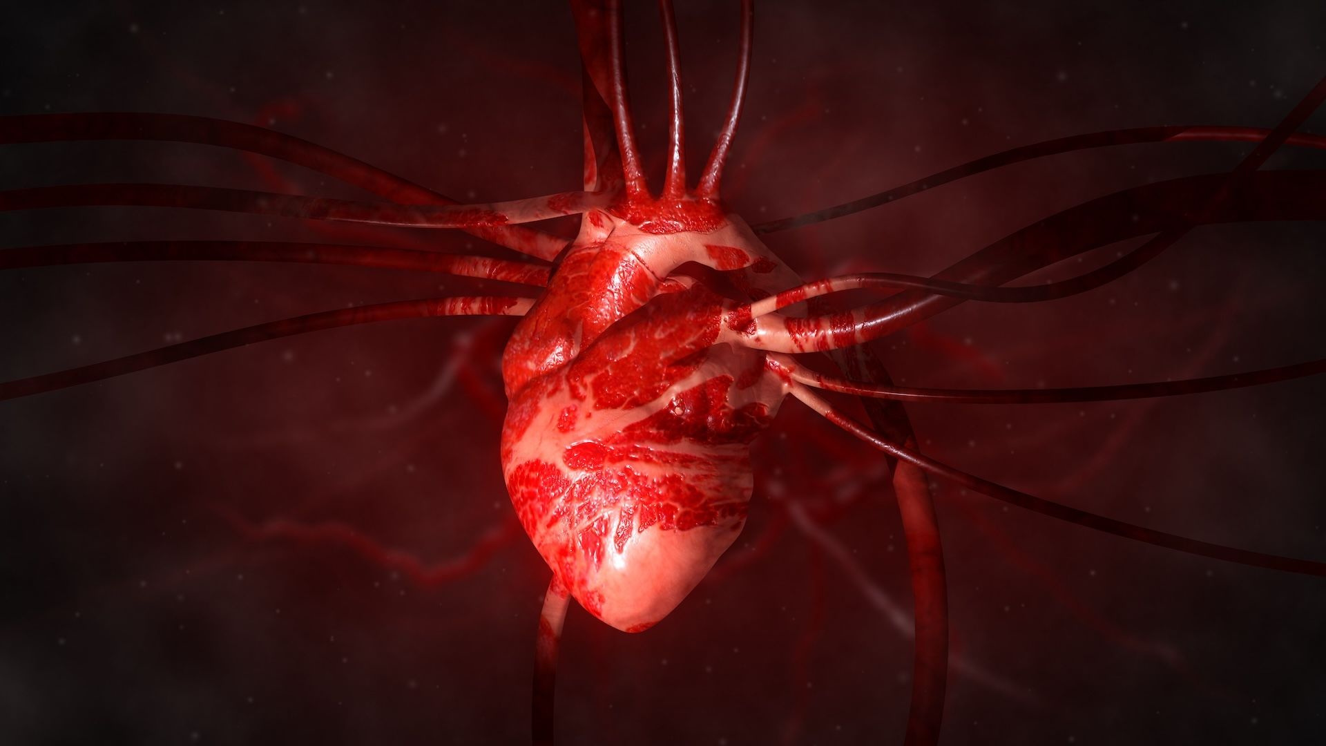 A single injection of mRNA-like treatment healed heart muscle after a heart attack in mice and pigs. Could it work in humans too? | Live Science