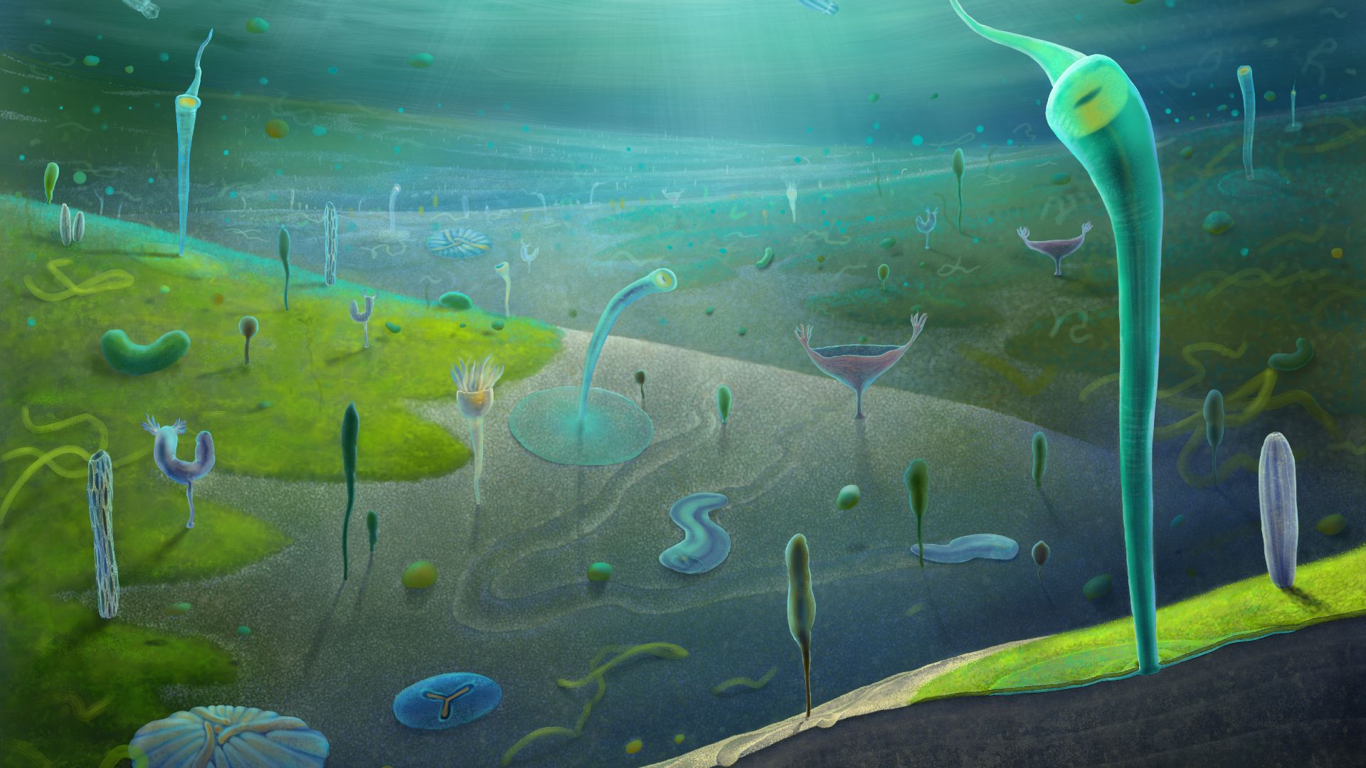 Fossil site in China reveals bevy of complex creatures lived prior to the Cambrian explosion, including a 'Dune'-like sandworm | Live Science