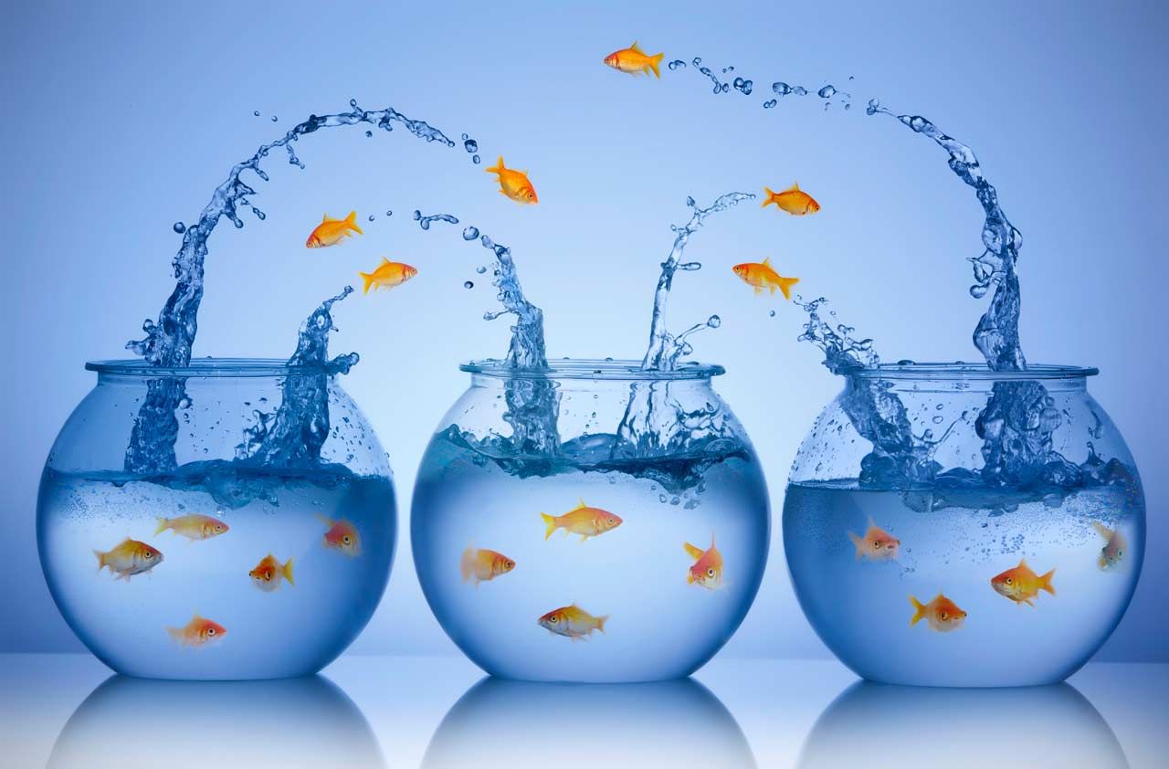 Should I Do a Roth Conversion? | Kiplinger