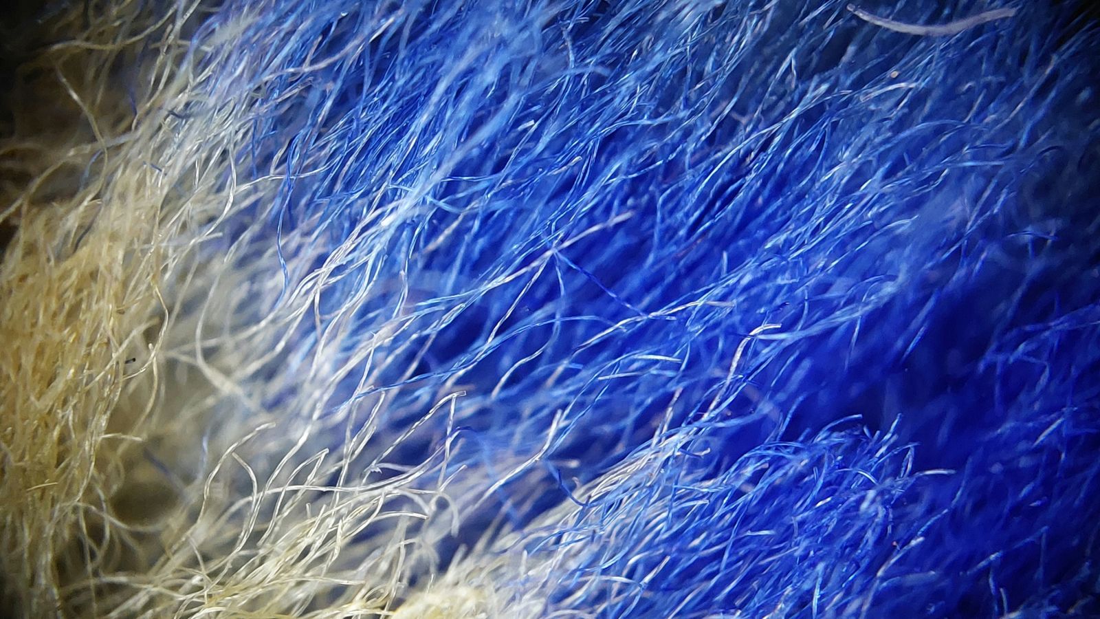 Scientists cram an entire computer into a single fiber of clothing — and you can even put it through your washing machine | Live Science