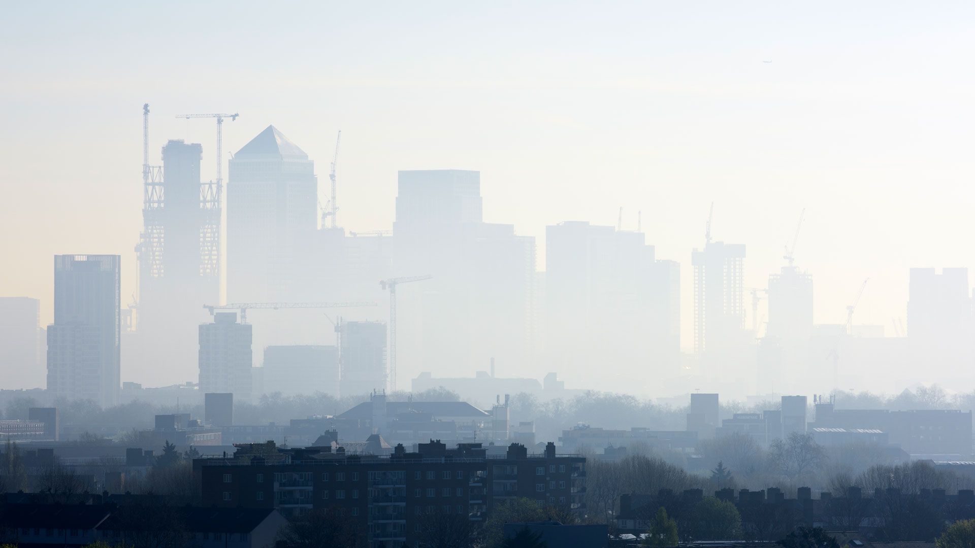 California declared war on smog in the 1970s. The knock-on effects were huge. | Live Science