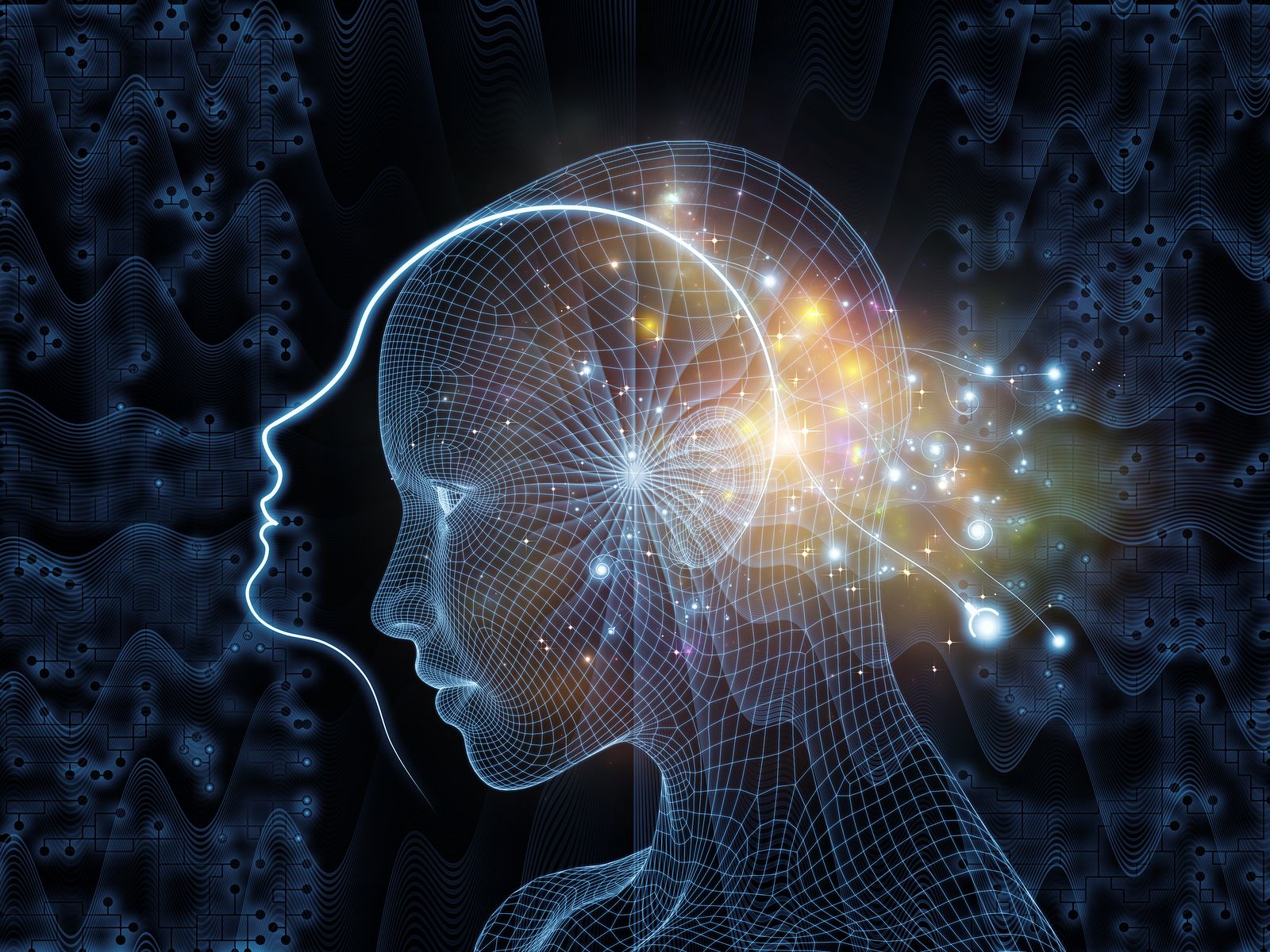 What is identity management and what role does it play in a security strategy? | IT Pro