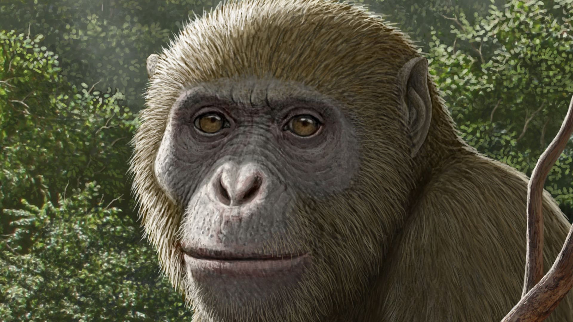 18 million-year-old fossils of ape found in Africa, but in an unexpected place | Live Science
