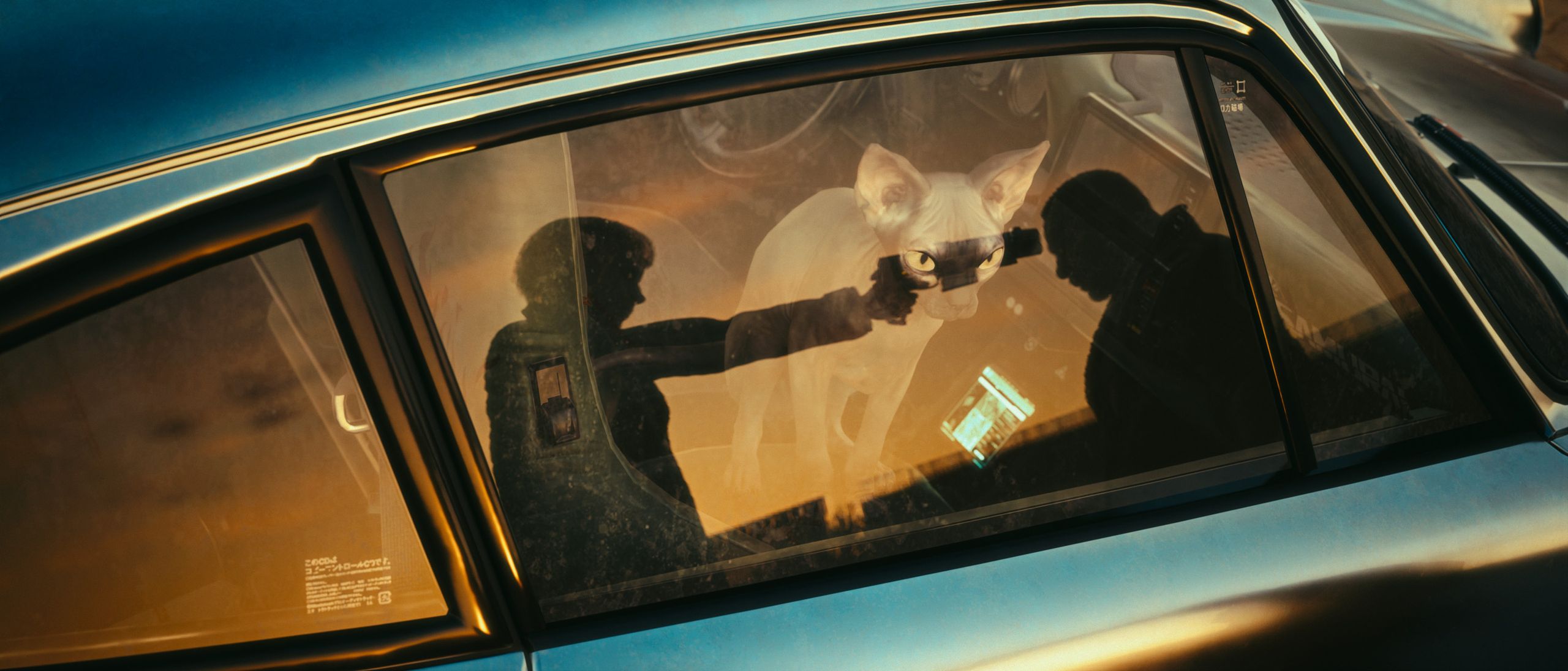 Revealed: Winners of the Virtual Photography Awards 2025 | Creative Bloq