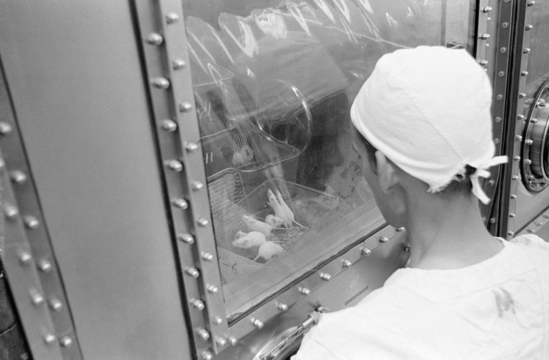 Before He Was a Rocket Engineer for Nazi Germany, Von Braun Was a Student Experimenting on Mice | Space