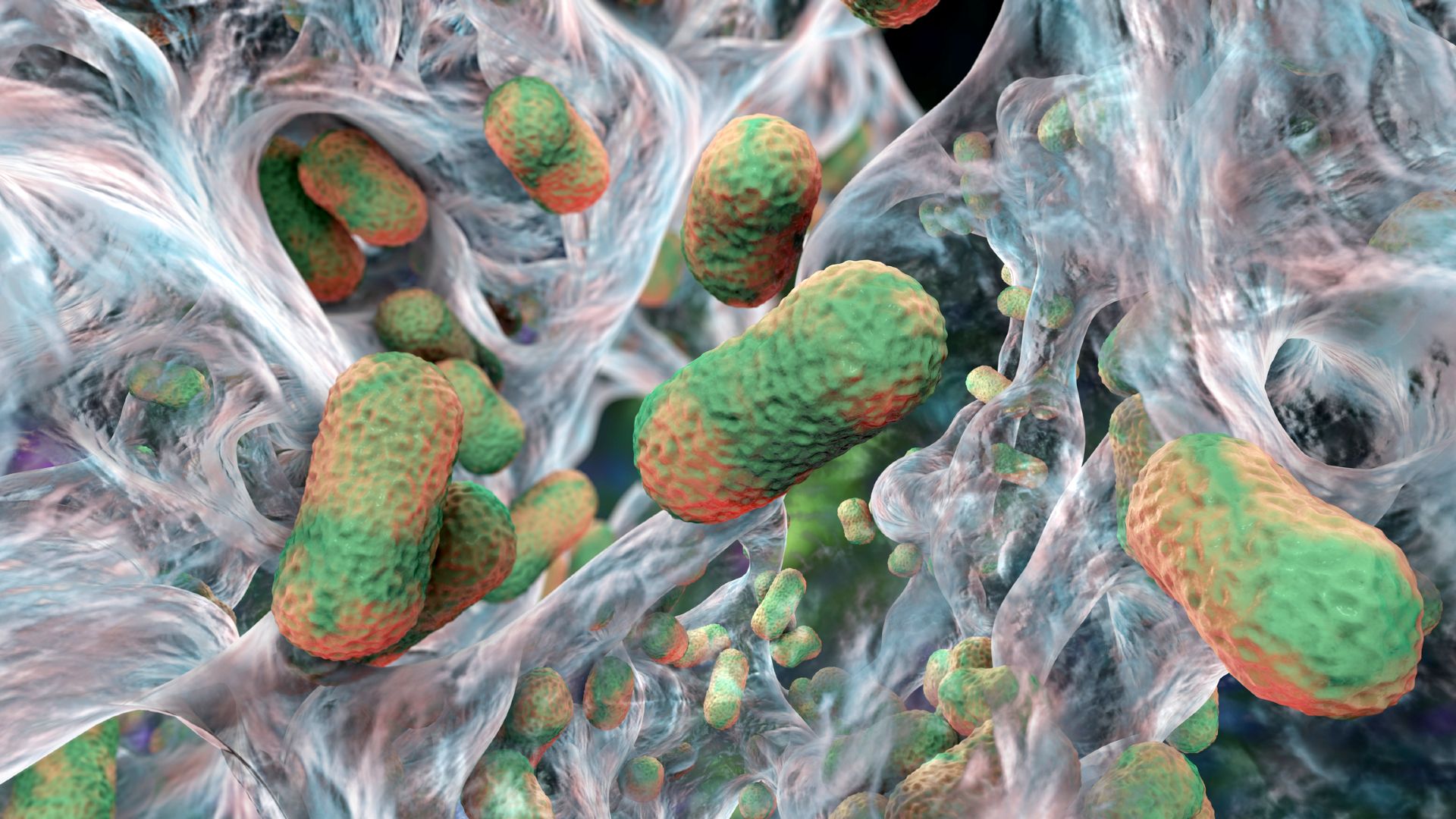Scientists uncover an Achilles' heel in deadly superbugs — and a way to exploit it | Live Science