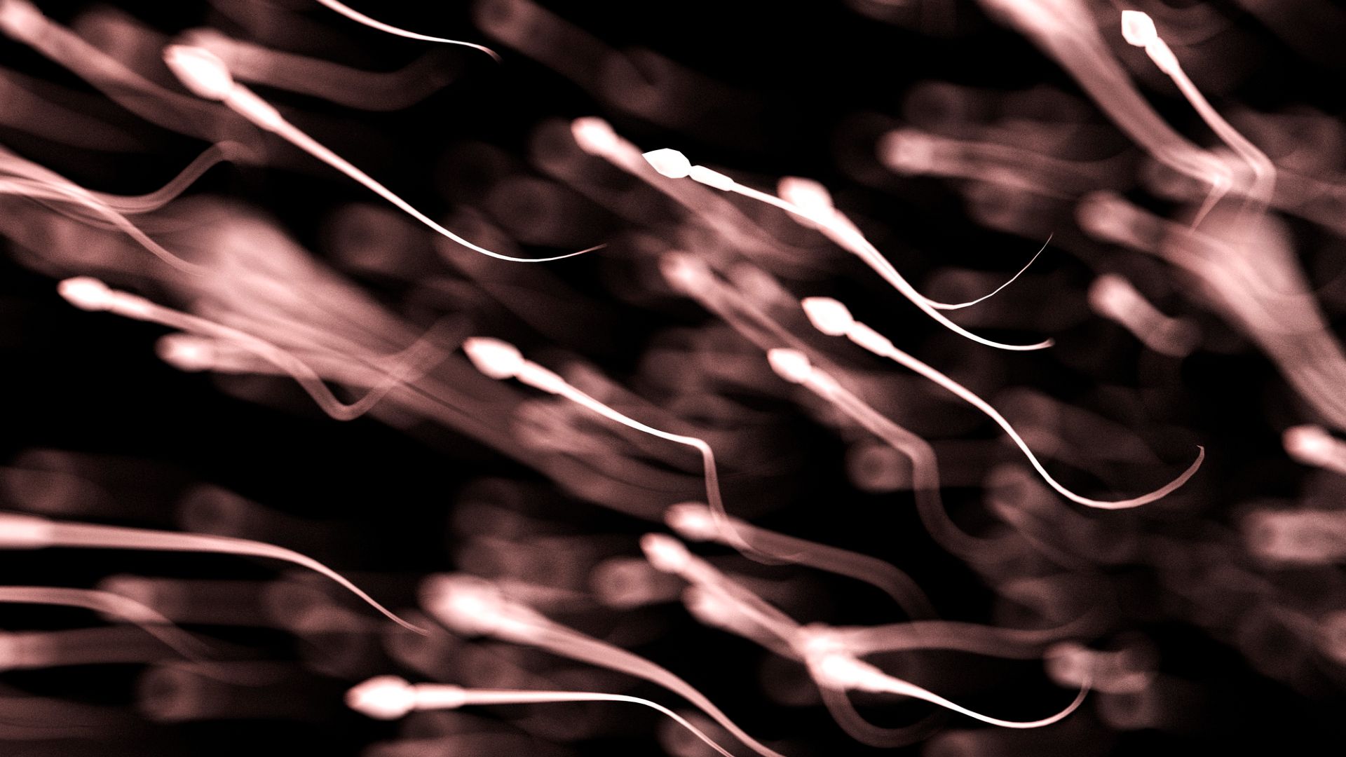 Sperm quality may change with the seasons, study finds | Live Science