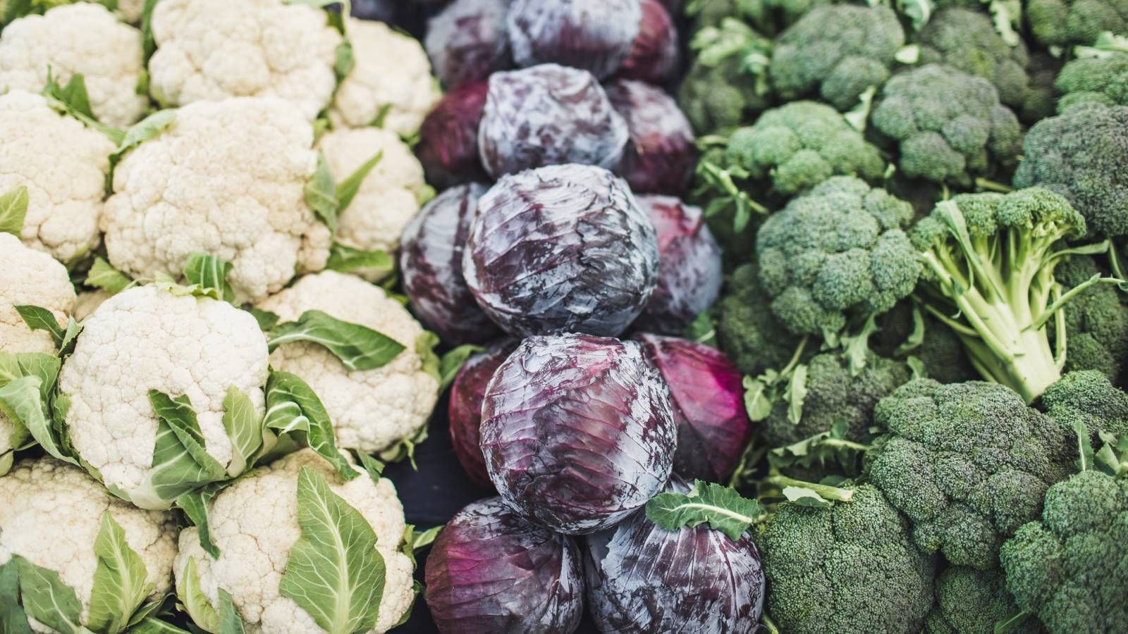 Cruciferous Vegetables Guide – What Gardeners Need To Know | Gardening Know How