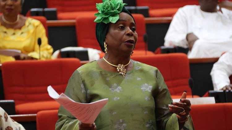 Again, gender equality bill suffers setback in Senate - Punch Newspapers