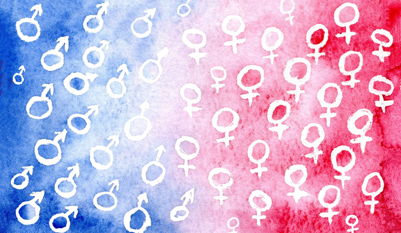 Understanding the Feminization of Academic Institutions