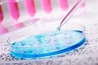 Sarah Anwar cover