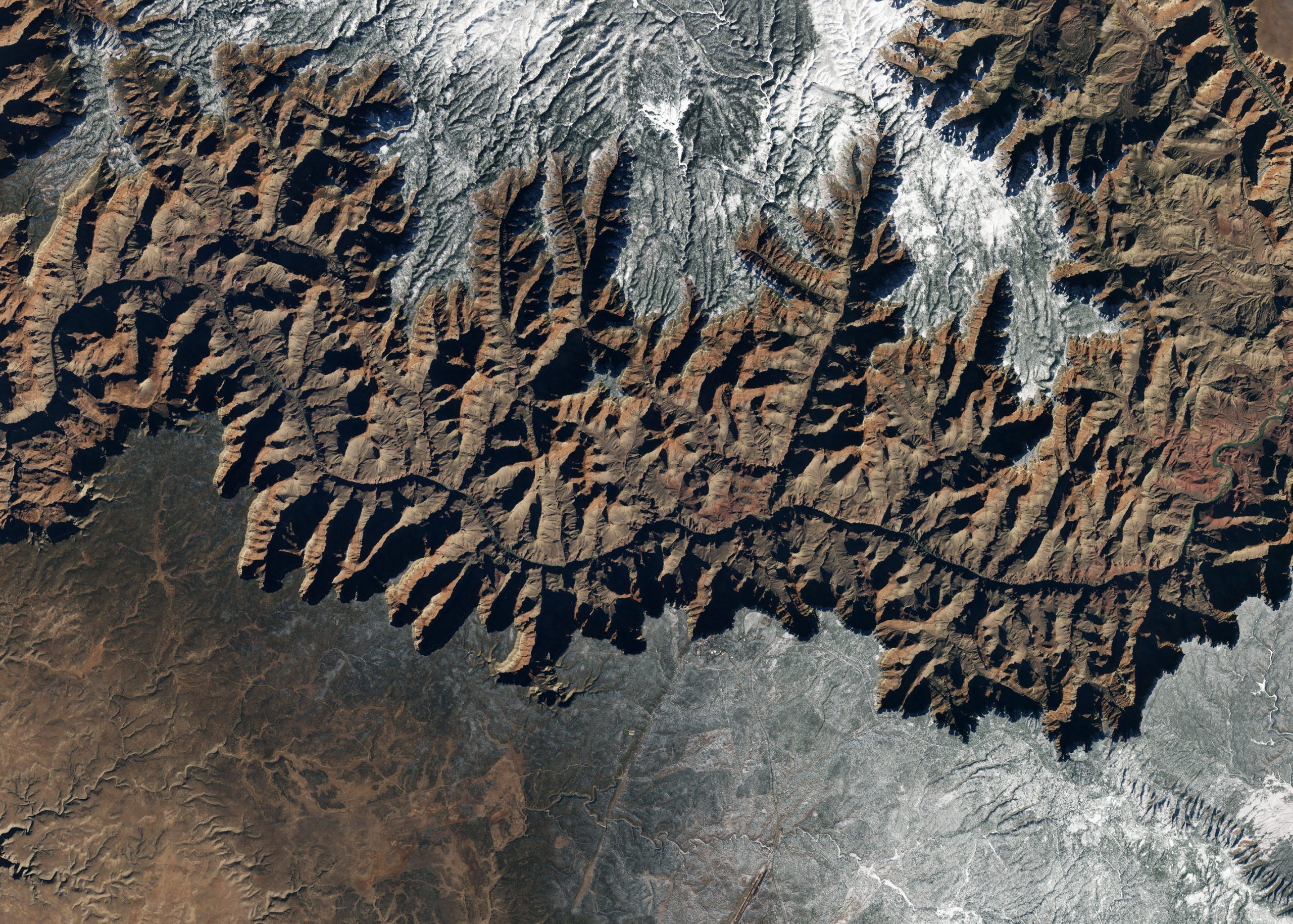 Planet and ASU expand partnership to build global scale solutions for sustainability