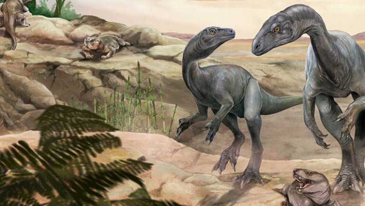 Paleontologists Discover New Species of Triassic Long-Necked Dinosaur | Sci.News