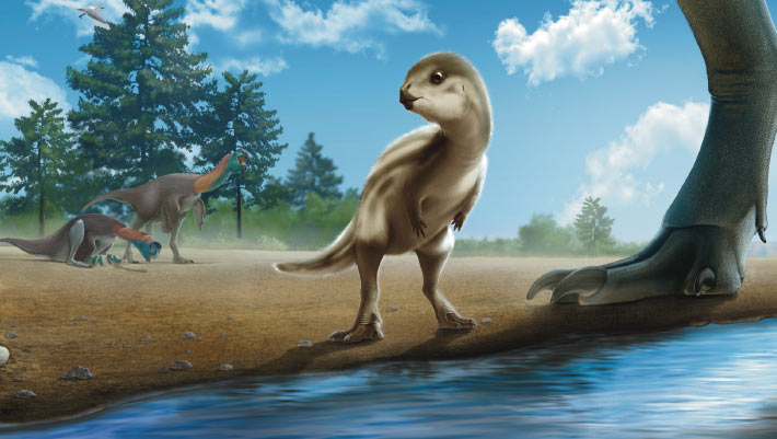New Species of Plant-Eating Dinosaur Unearthed in Korea | Sci.News
