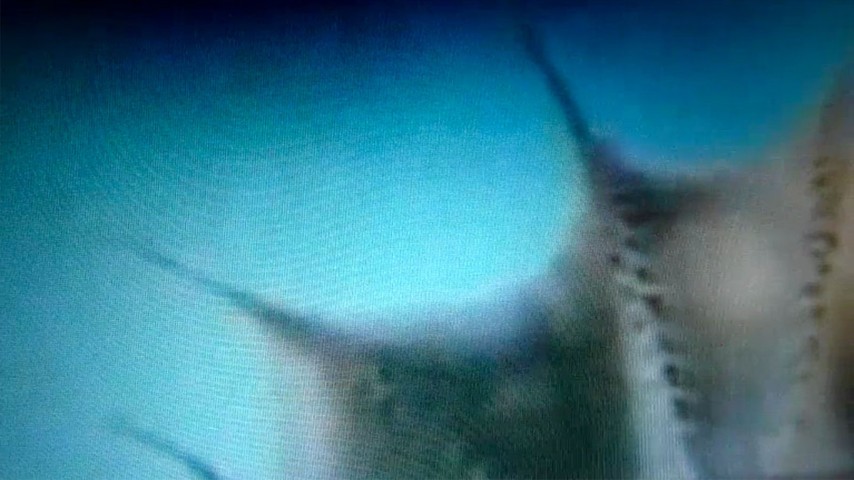 'The Bloop,' A Short Film About the Loudest Underwater Sound Ever Recorded - The Atlantic
