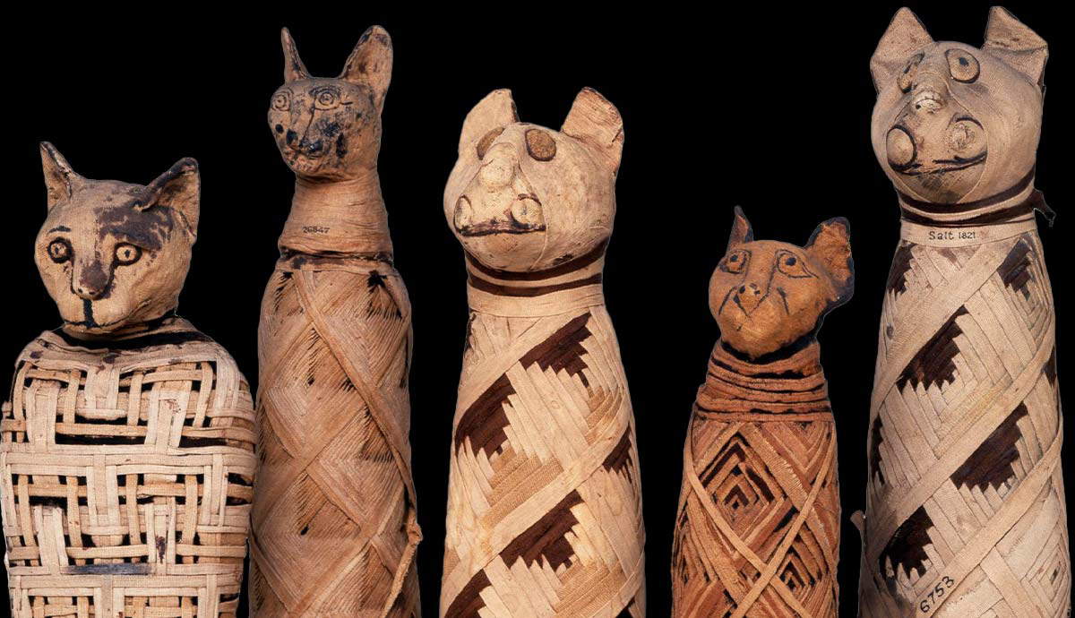 Mummified Cats: Companion Cats and Feline Worship in Ancient Egypt | TheCollector