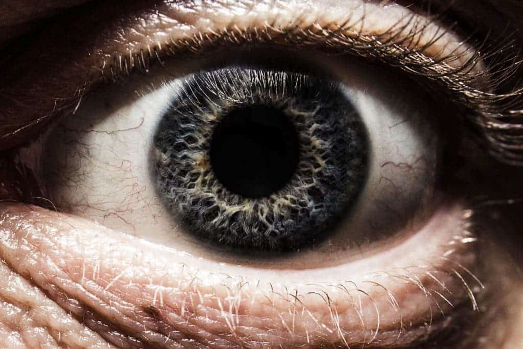 How the eye works