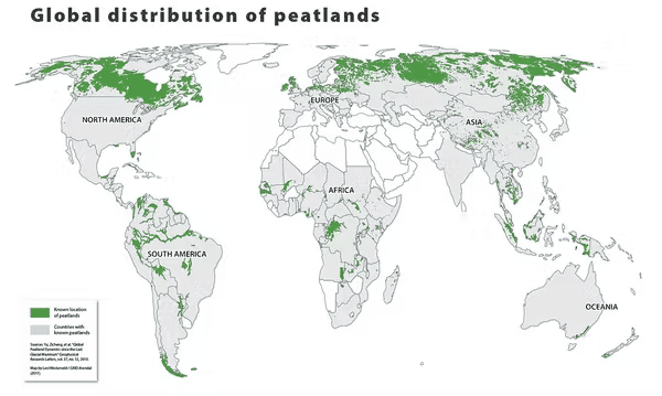 Peatlands help protect us from climate change. But if we don't, they'll turn on us