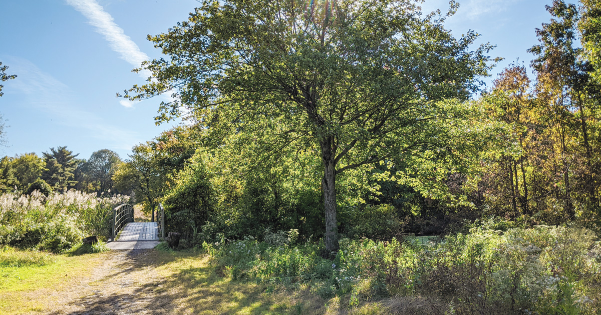 How the FDR Park Golf Course Became Philly’s Best Green Space