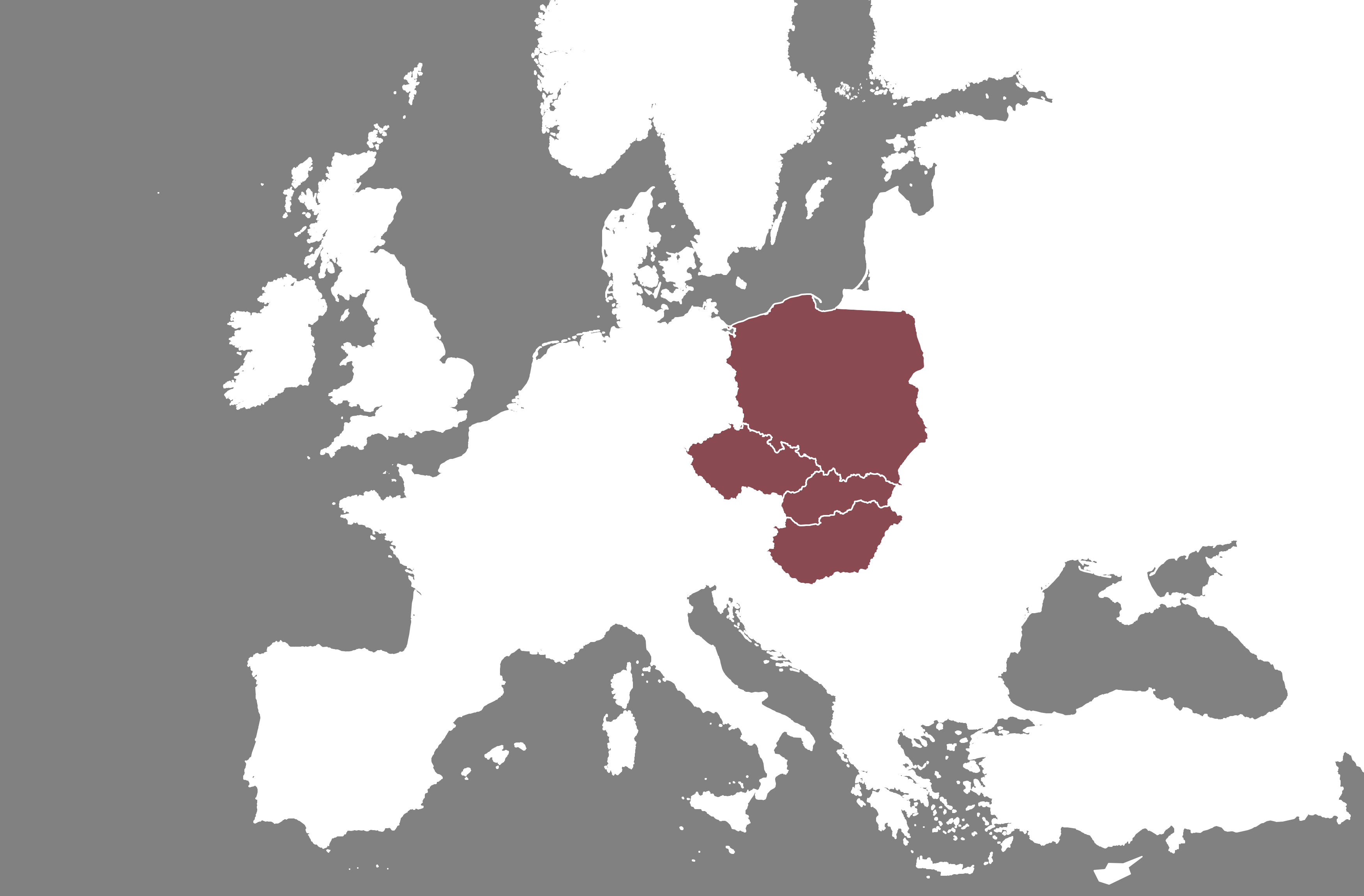 Navigating uncertainty: Central European public opinion on geopolitics in 2025 - CEIAS