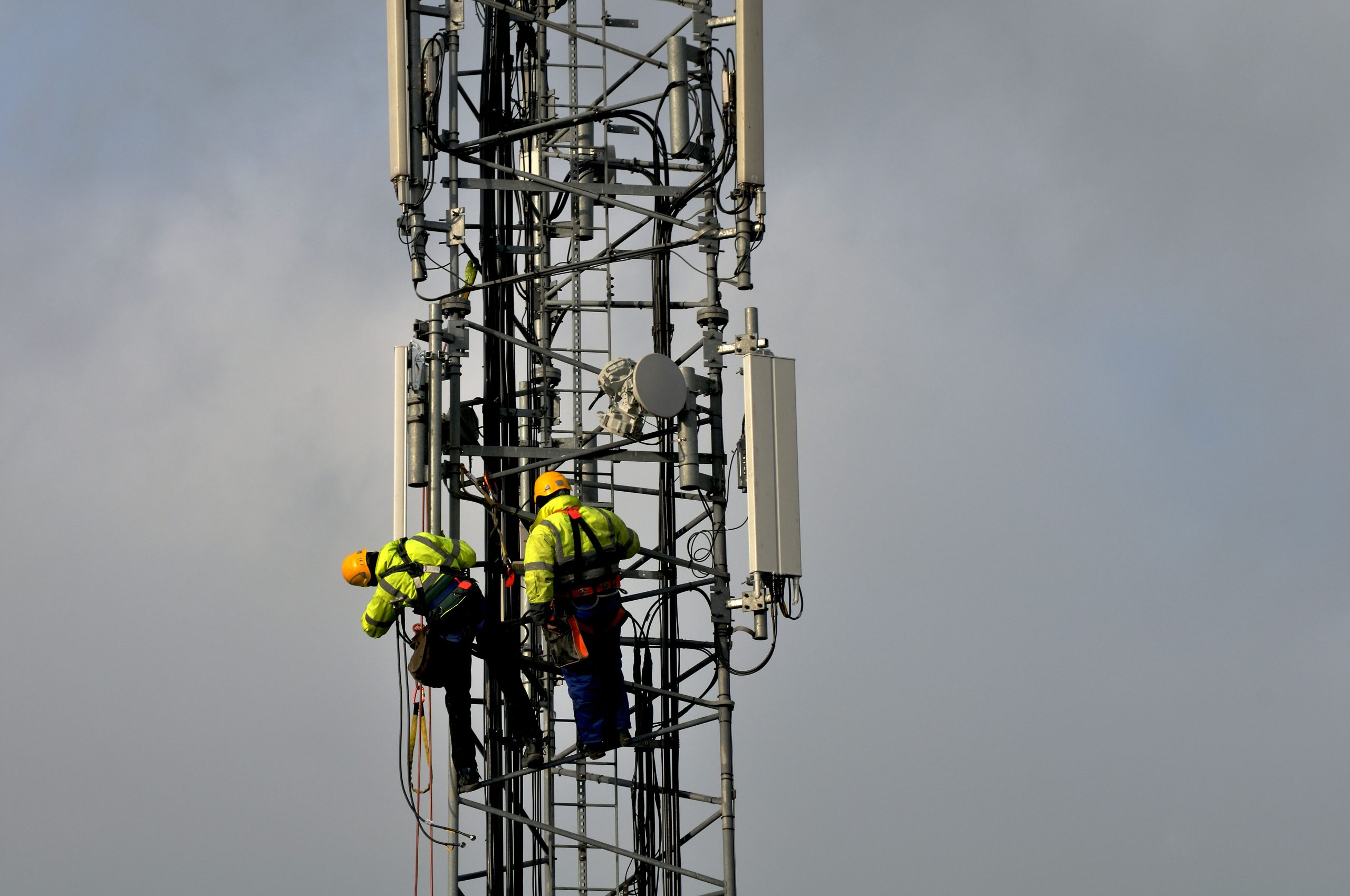 Network Fees: A Misguided Idea - CEPA