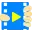 Video Grabber Pro